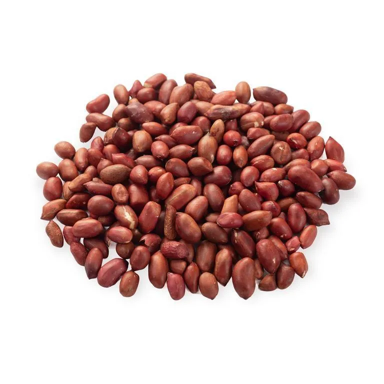 ARAHIS-SHARENNIY-3-2