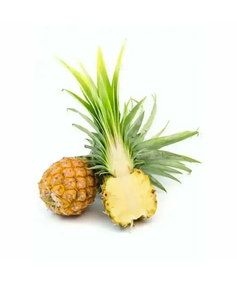 Ananas_Mini_Egipet-2