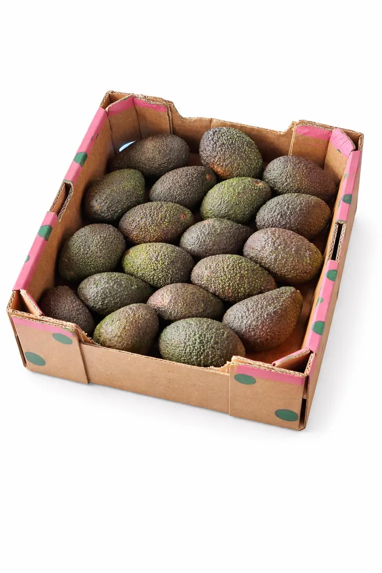 Avokado_pere_2s1