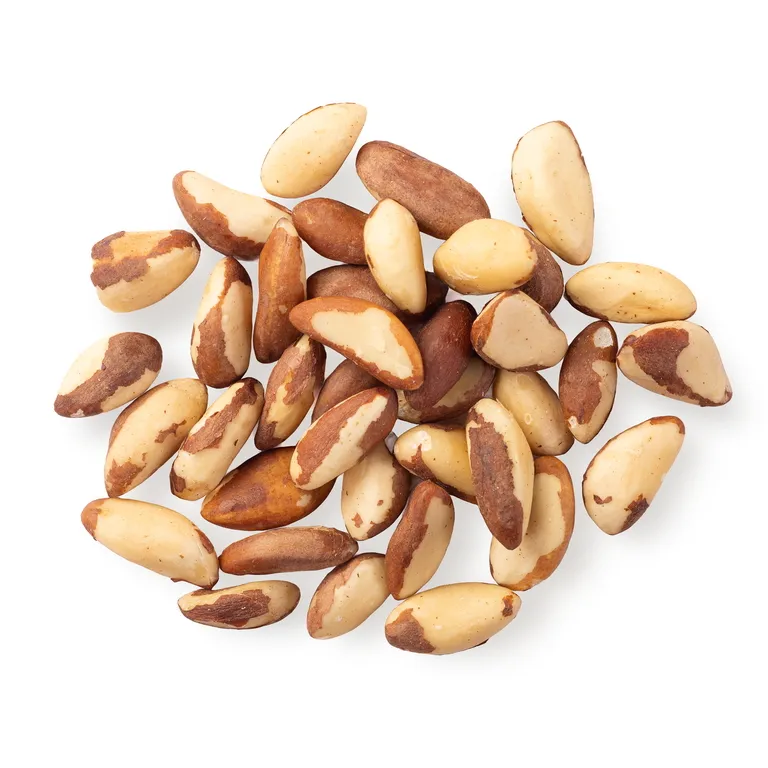 BRAZILSIY-OREH-1-3-2