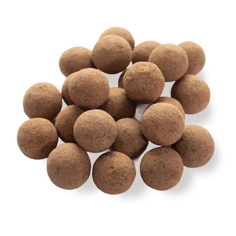 FUNDUK-V-SHOKOLADNOU-GLAZURI-S-KAKAO-1-2-4-2