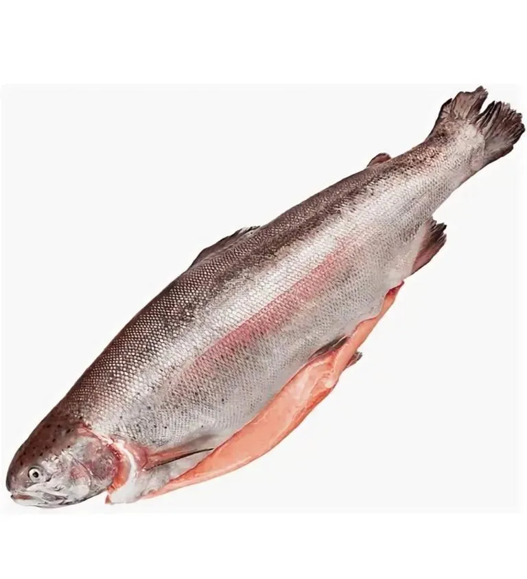 Forel_potrah