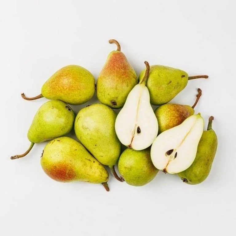 Grusha-Lesnaya-Krasavitsa-4-1