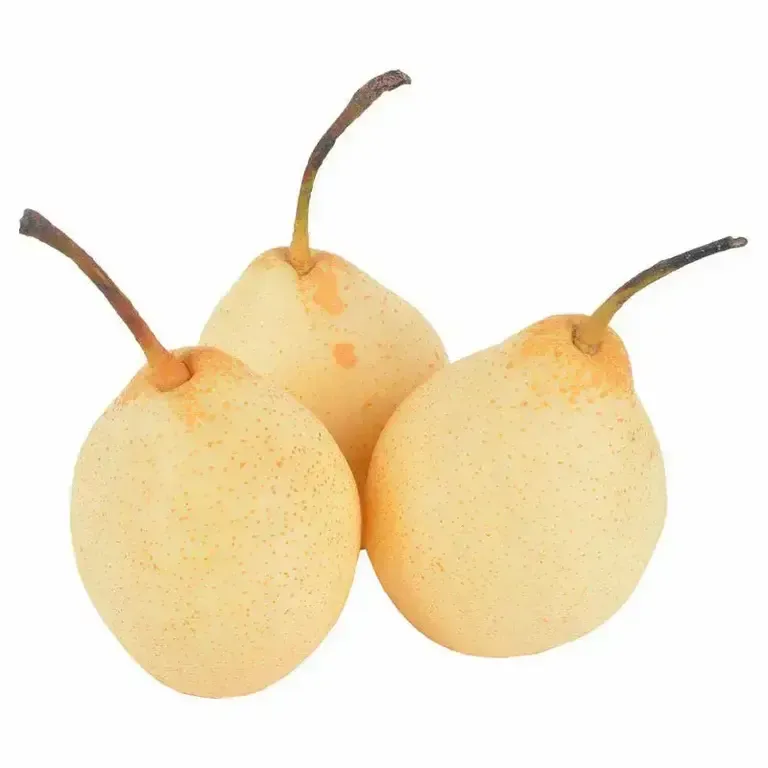 Grusha_Pesochnaya_Kitaj-2