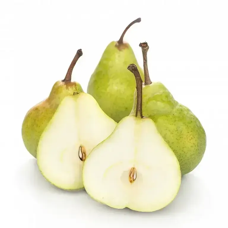 Grusha_Vilyams_Kitaj-2