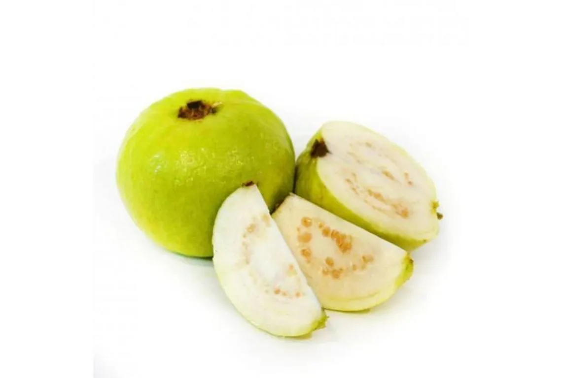 Guava_THAI-1