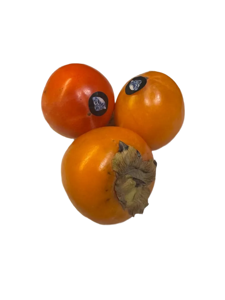 Hurma_Roho_Brilliant