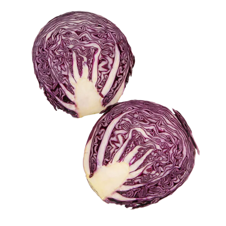 Kapusta_Molodaya_Krasnokochannaya