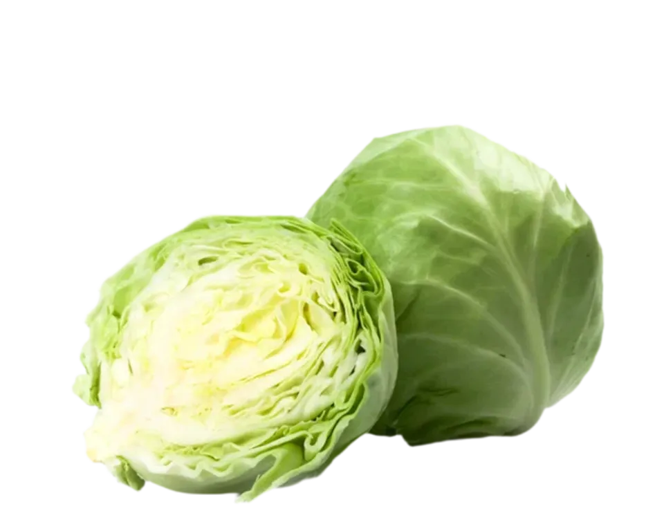 Kapusta_Molodaya_Premium