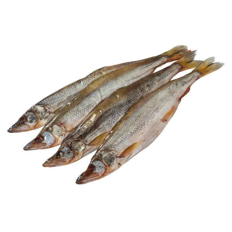 Koryushka-vyalennaya-1-1-3