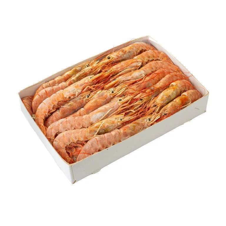 Langustiny-L1-sht-2-kg-1-3