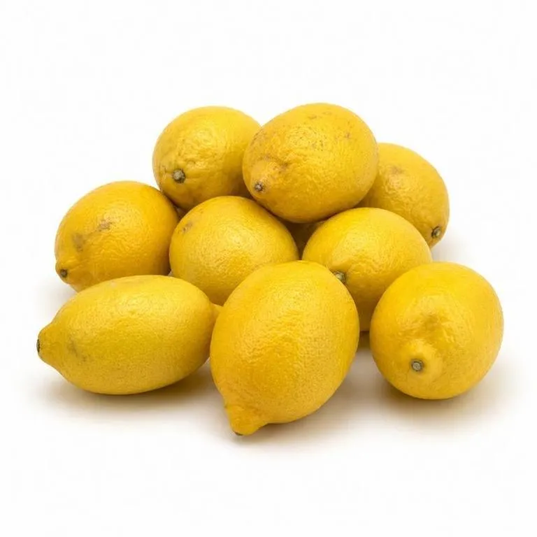 Limon_egip