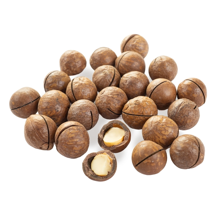 MACADAMIA-1-3-2