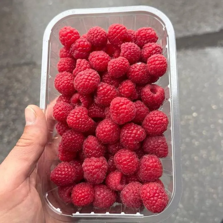 MALINA-krims