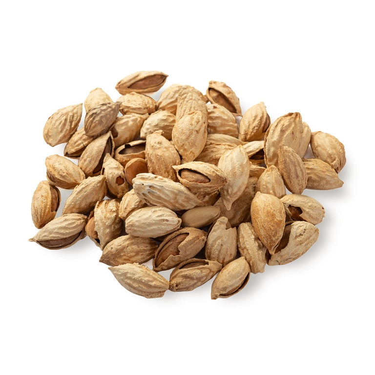 MIHAL-V-SKORLUPE-1-3-2