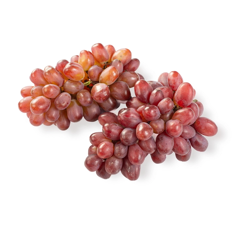 MUSKAT-SHEIN-KRASNY-1-2