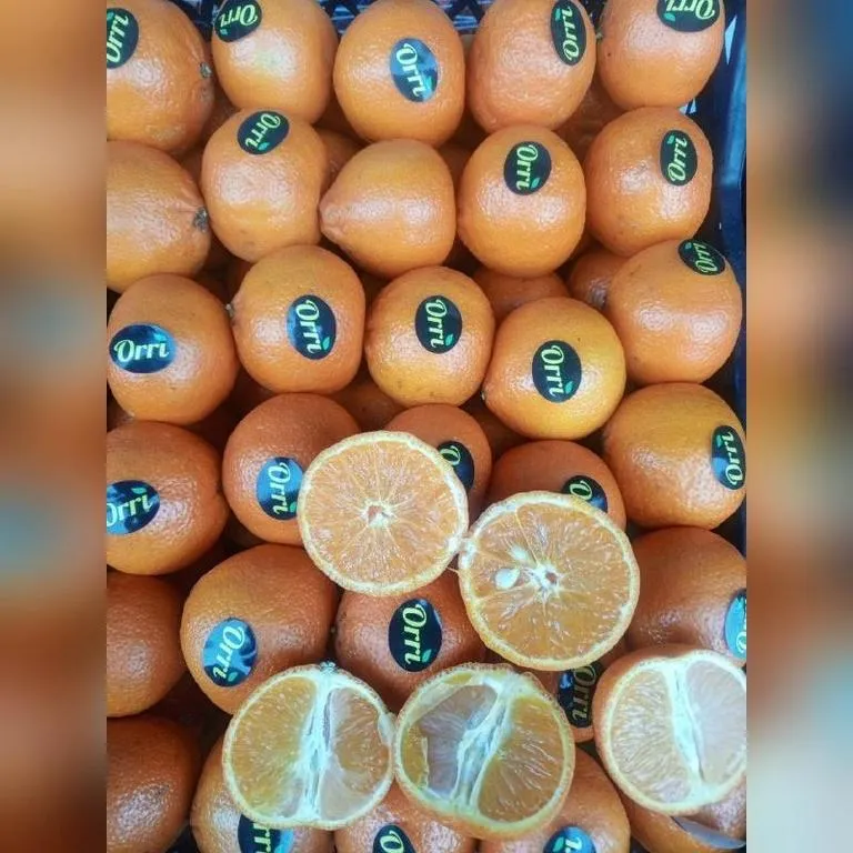 Mandarin-beibi-1-32