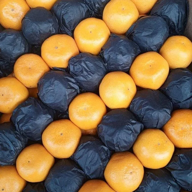 Mandarin__life43