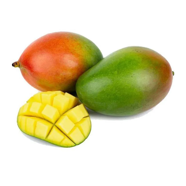 MangoKENT