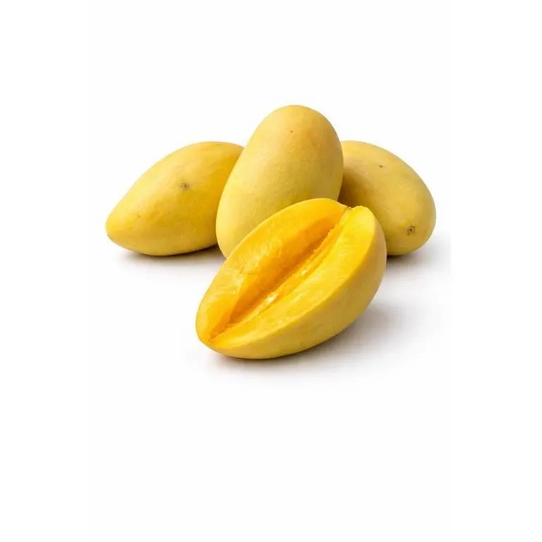 Mango_zhelt1