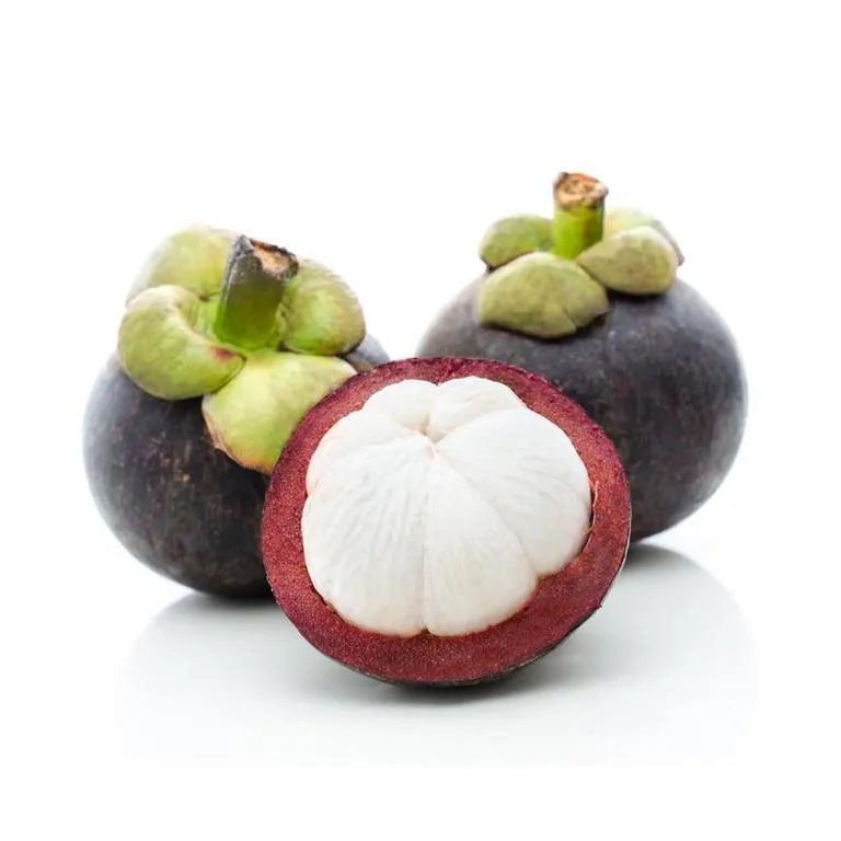 Mangostin-new-6