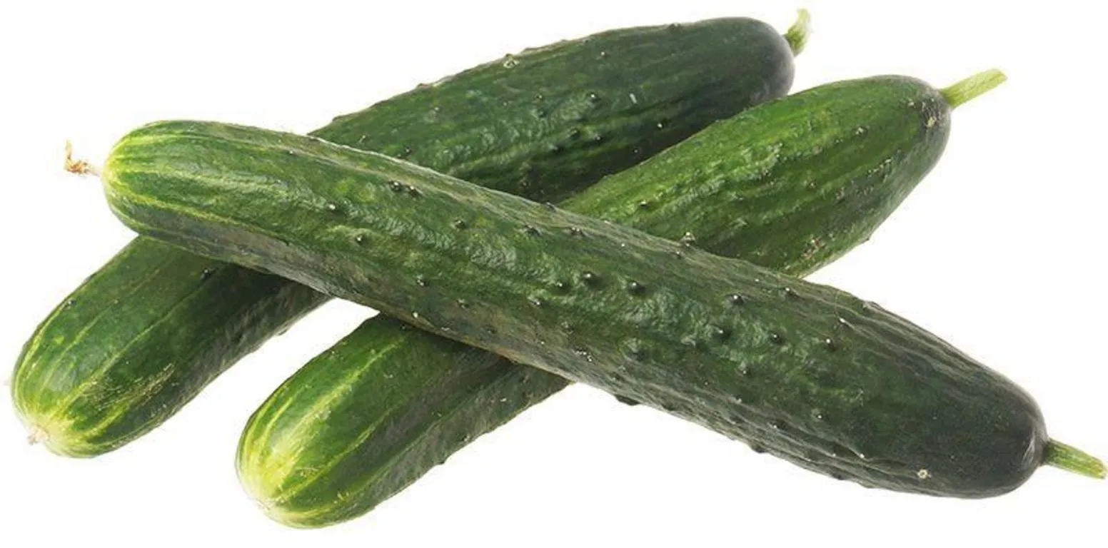 Ogurets_Svyatogor-1