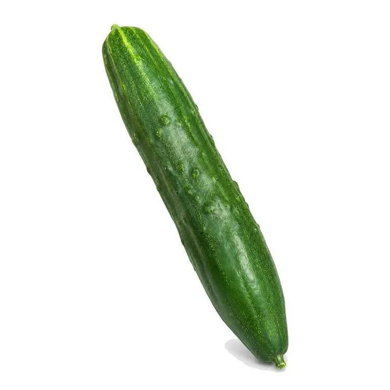 Ogurtsy_big