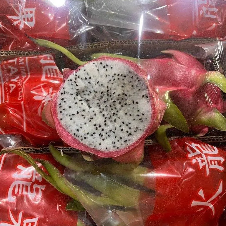 PITAHAIA-BELYIA-4_life