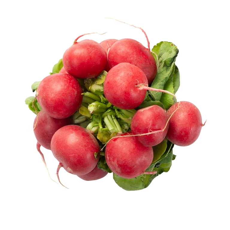 REDIS-PYCHOK-1-4-2