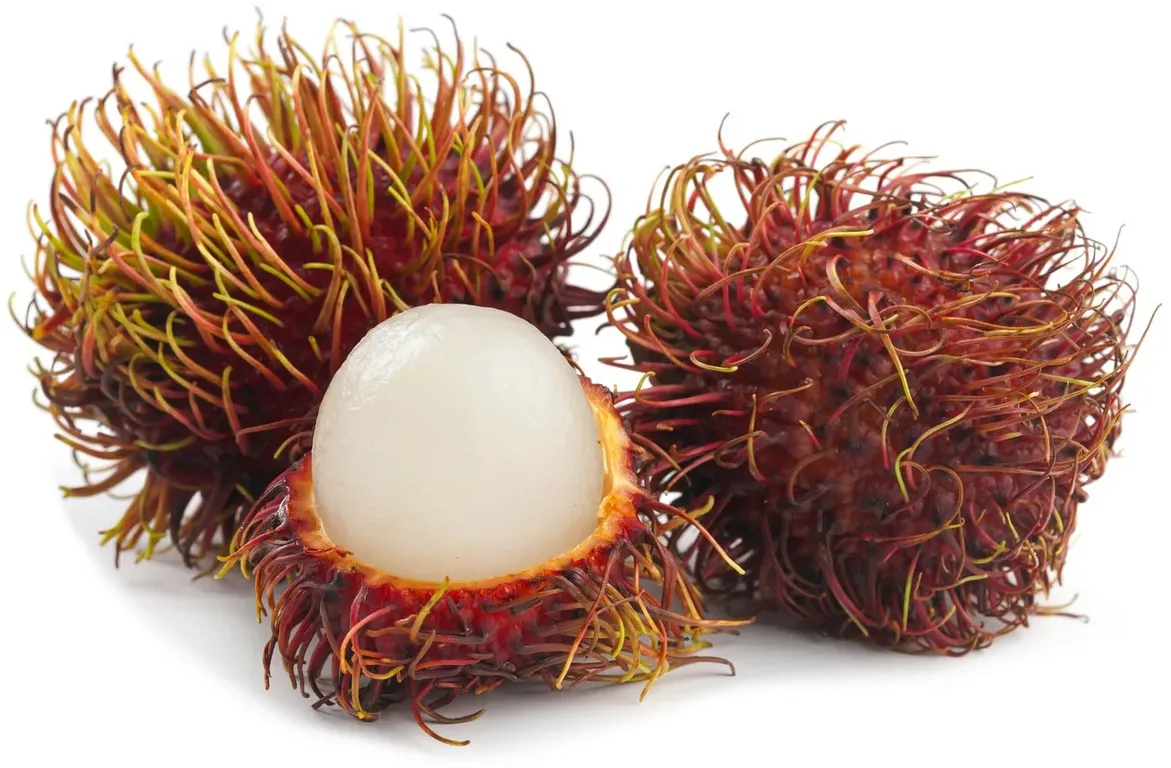 Rambutan-1