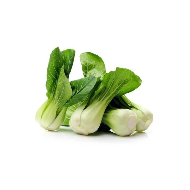 Salat_Pak_Choy_Mini-1