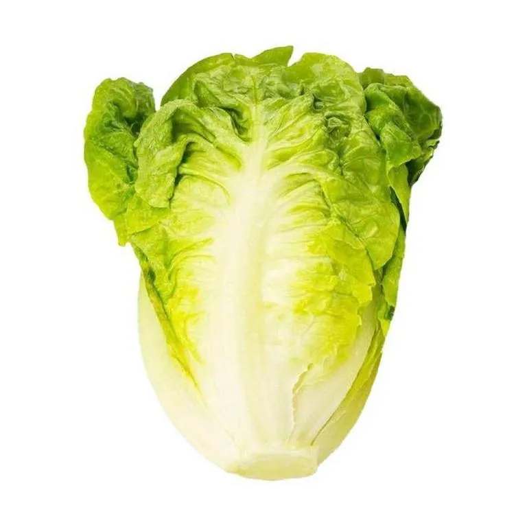 Salat_Romano