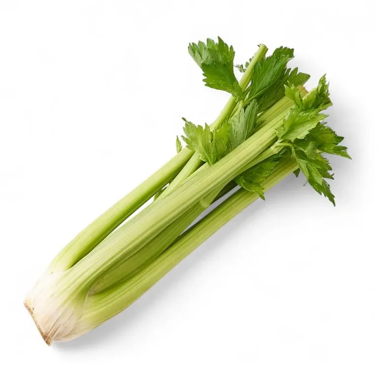 Selderey_Chereshkoviy_0_3_0_4