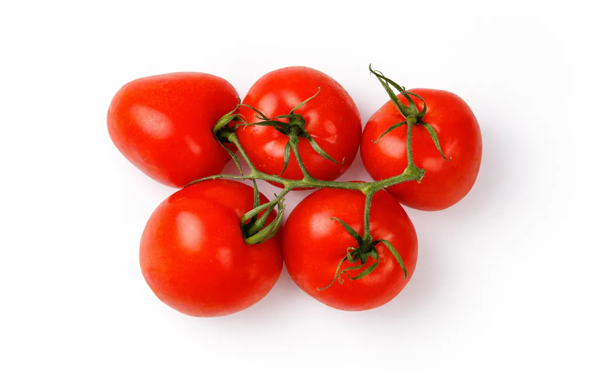 Tomat_Slivki_Na_Vetke_Flamenko-1