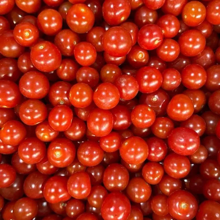 Tomaty_Cherri_Krasnye_3213_life