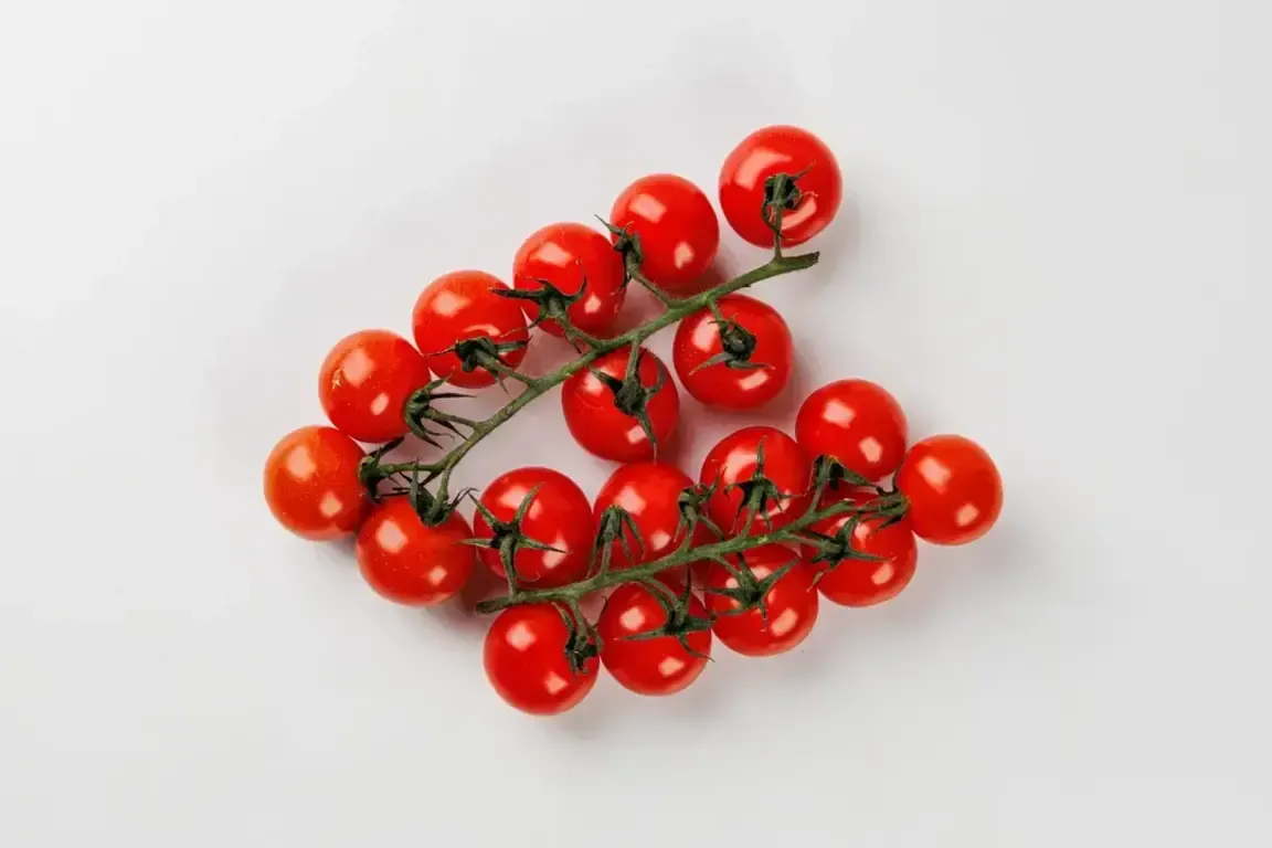 Tomaty_Cherri_Krasnye_Na_Vetke-2