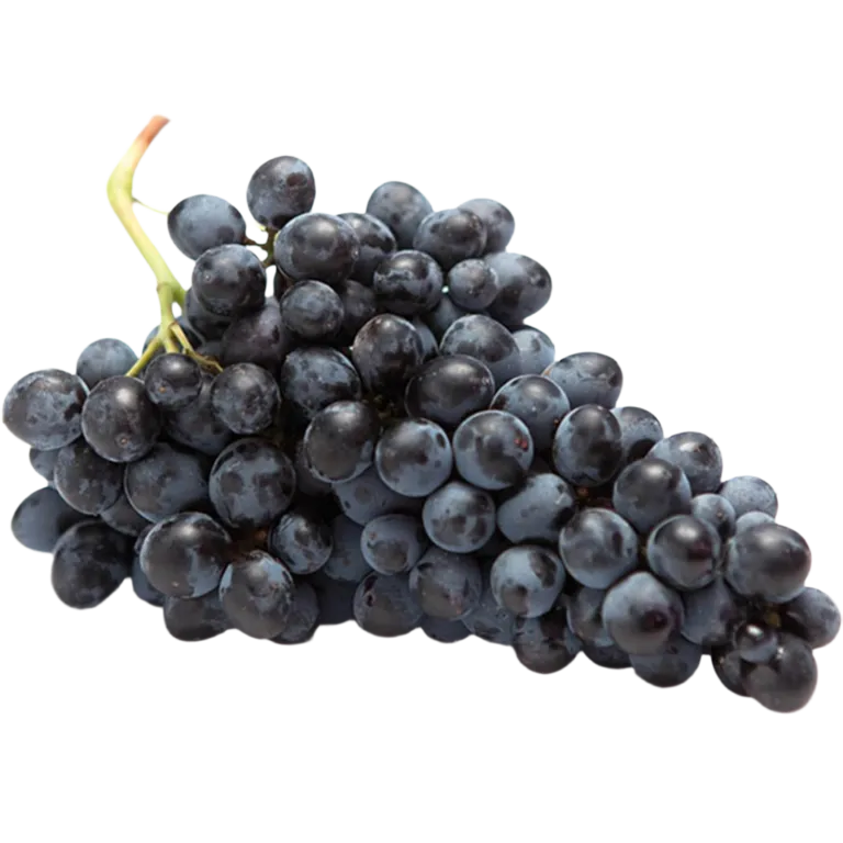 Vinograd_Kish-Mish_Cherniy_Uzbekskiy-1