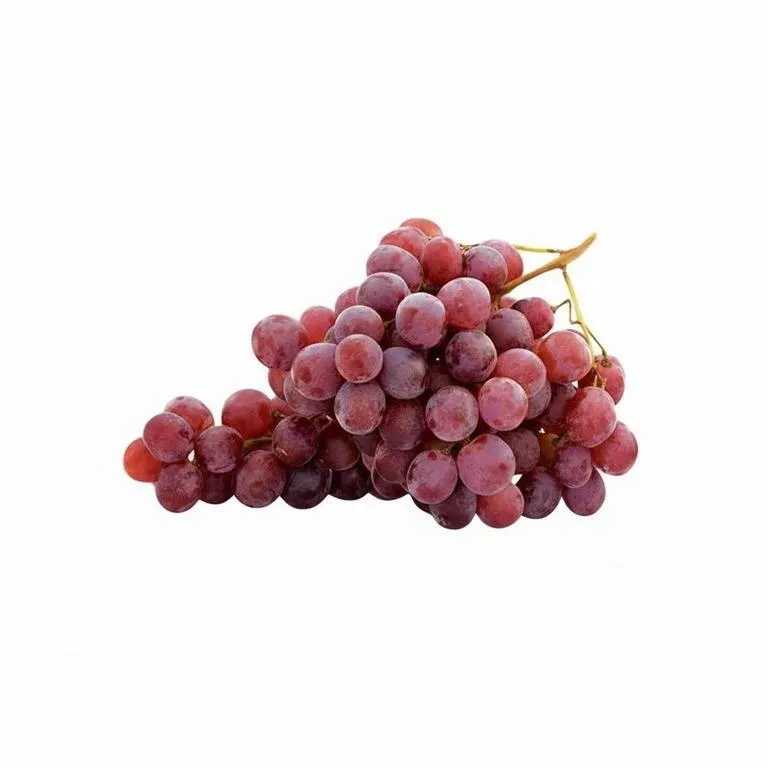 Vinograd_Red_Glob-1