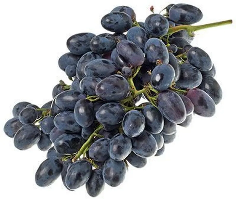 Vinograd_chernyy_Moldaviya-1