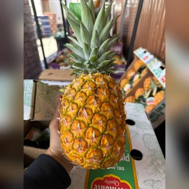 ananas-gold-2_life2