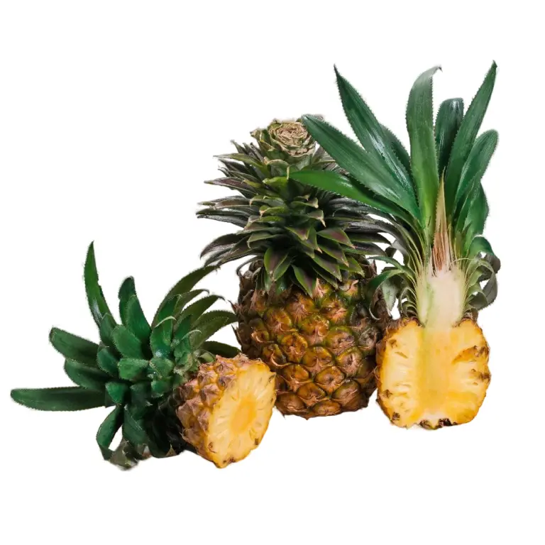 ananas-mini-3