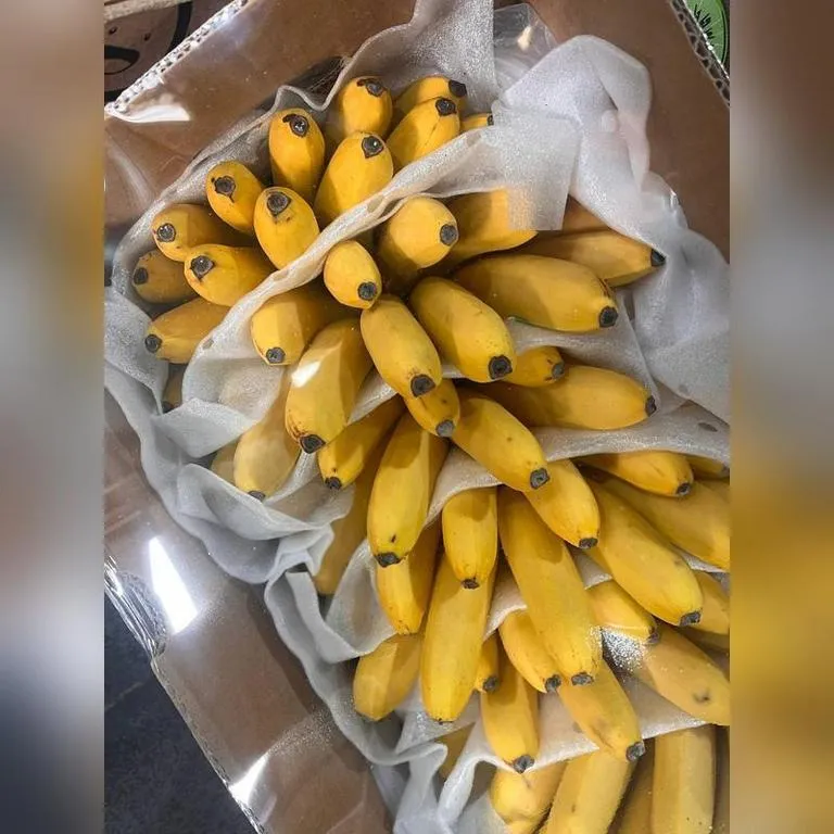 banan_life