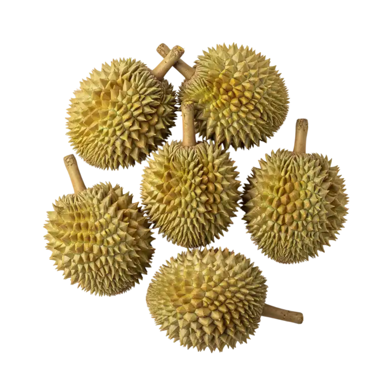 durian