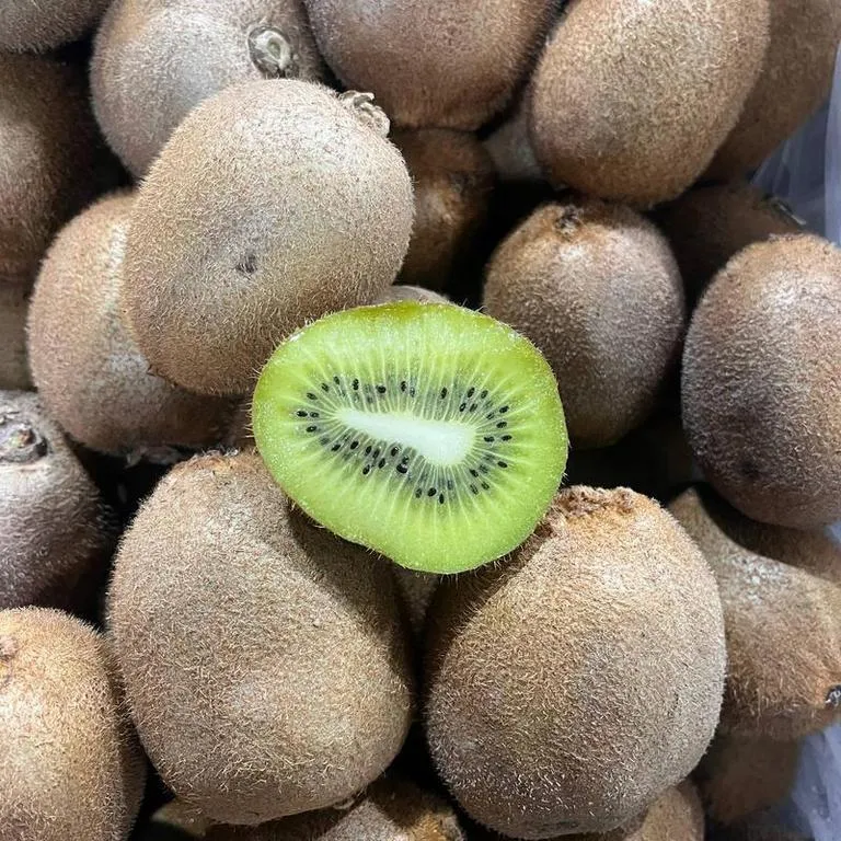 kiwi-mini_life