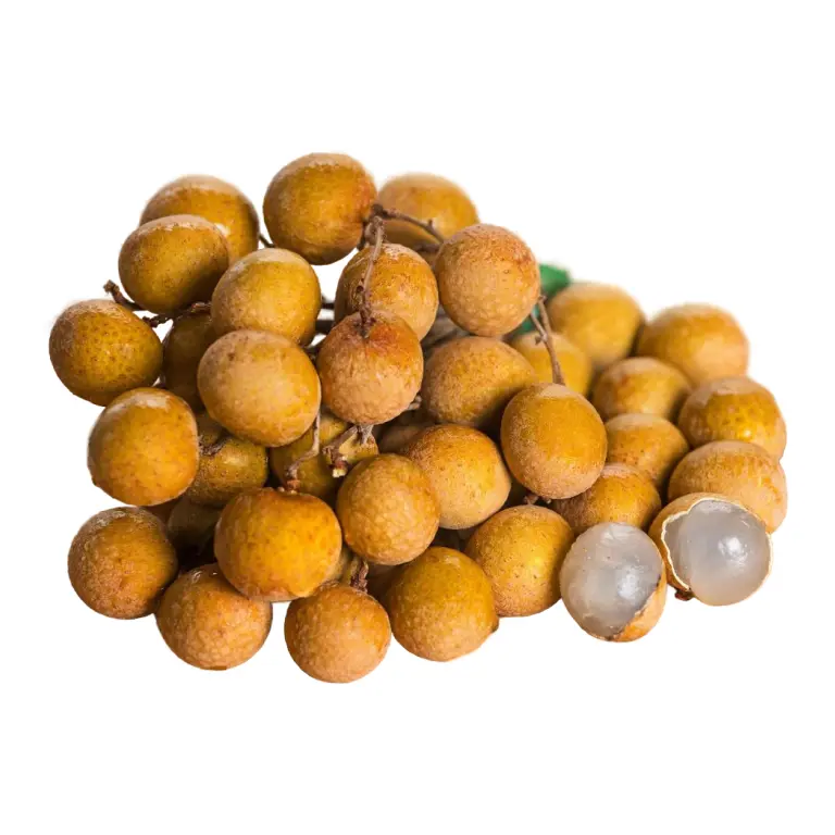 longan-eqz-5