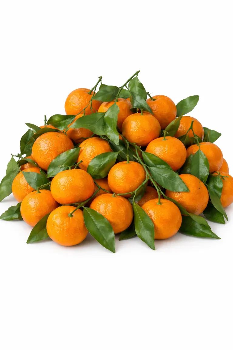 mandarin-mini1