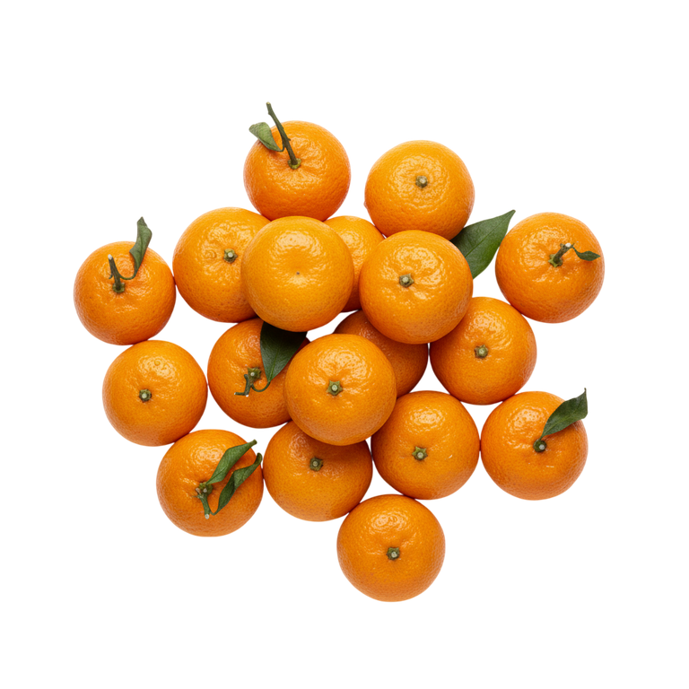 mandarini-mini-1
