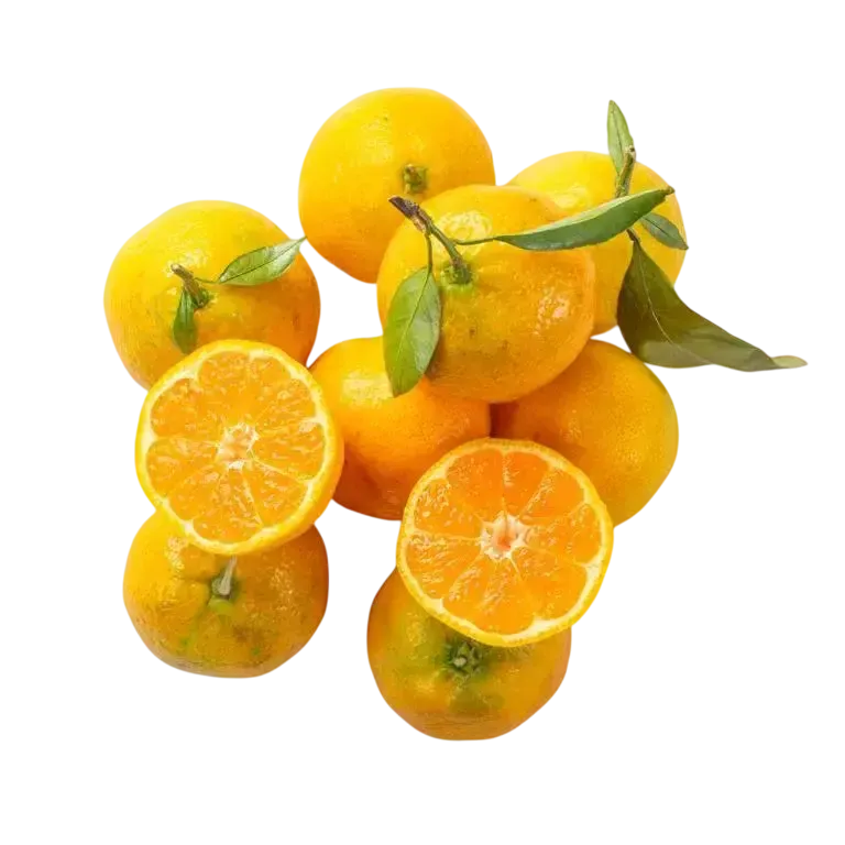 mandarini-sacuma-1-1