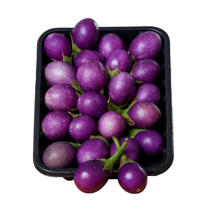 mini-baklazh-ovla-4