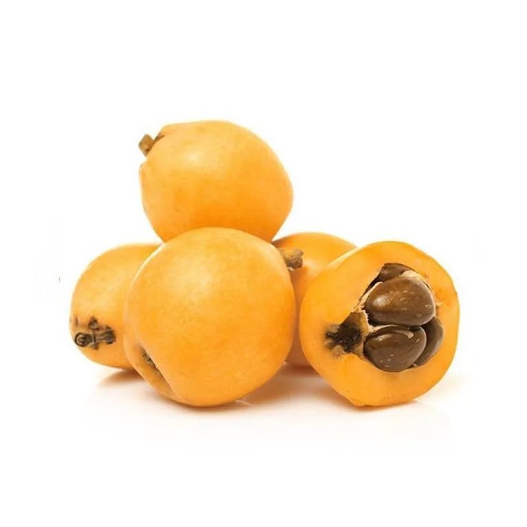 mushmula